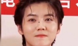 娱乐圈爆料的正能量明星,闪耀的榜样之光